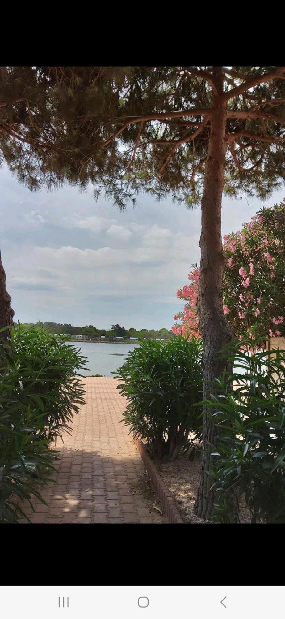 Villa 6P Piscine Spa Privatif Wifi Proche Des Plages Ле-Баркарес Екстер'єр фото